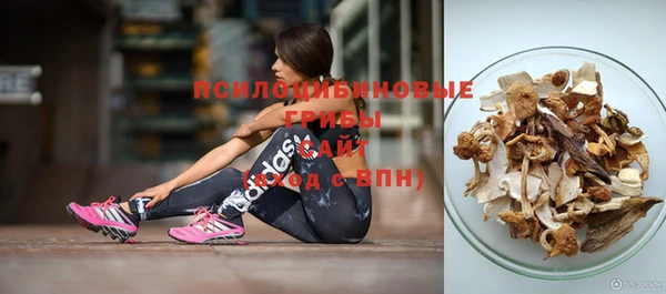 a pvp Алексин