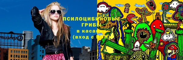 a pvp Алексин