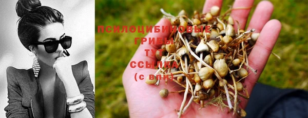 первитин Алексеевка