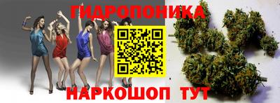 твердый Нальчик