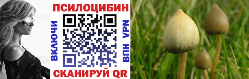 наркота  KRAKEN сайт  Галлюциногенные грибы мухоморы  Саки 