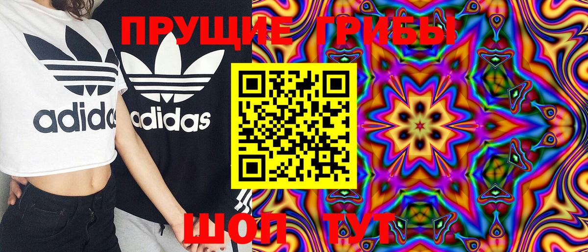 Псилоцибиновые грибы MAGIC MUSHROOMS  как найти наркотики  Саки  Вход с VPN 