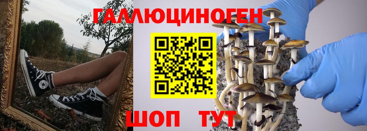Галлюциногенные грибы GOLDEN TEACHER Саки